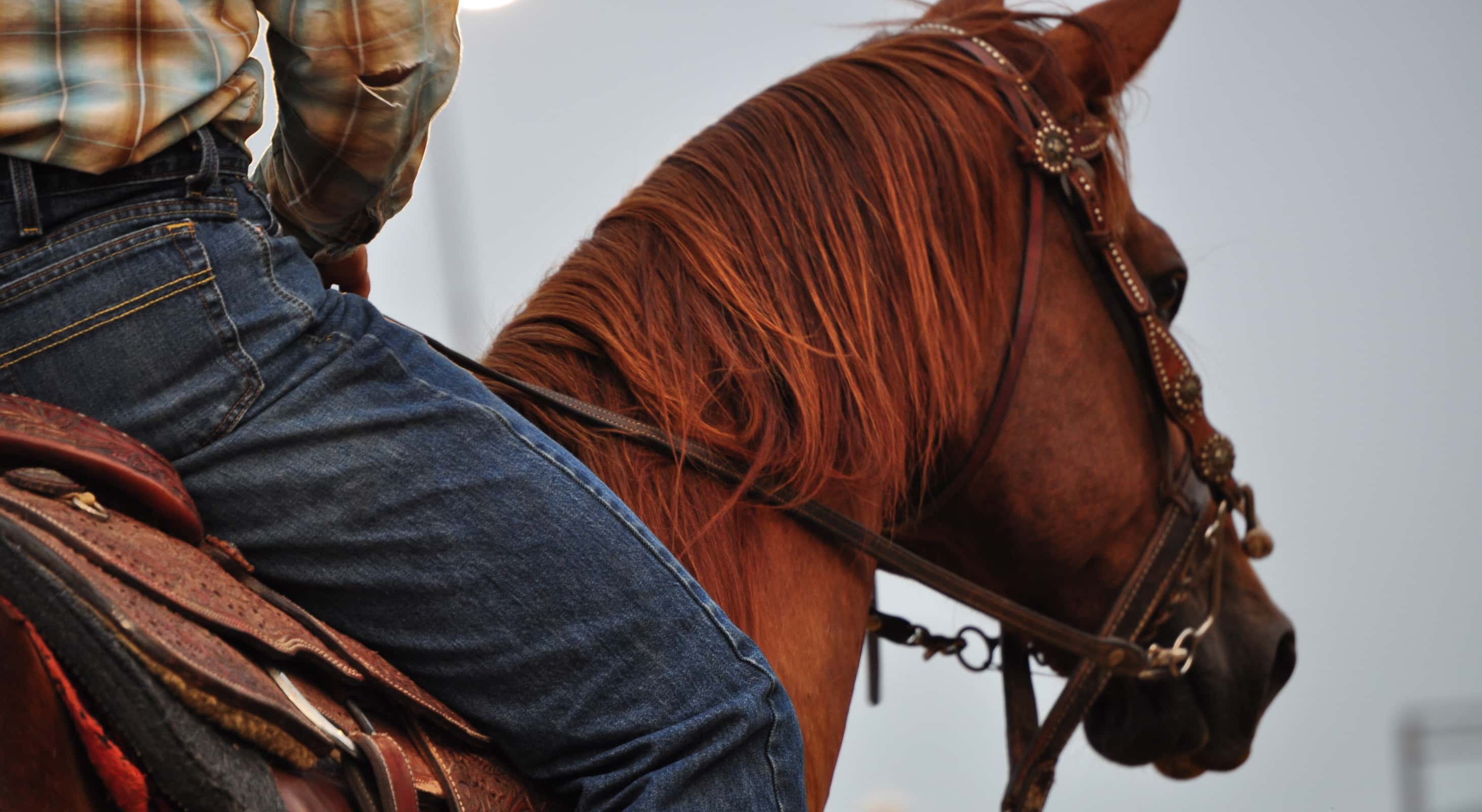 Cowboy on horseback at a rodeo