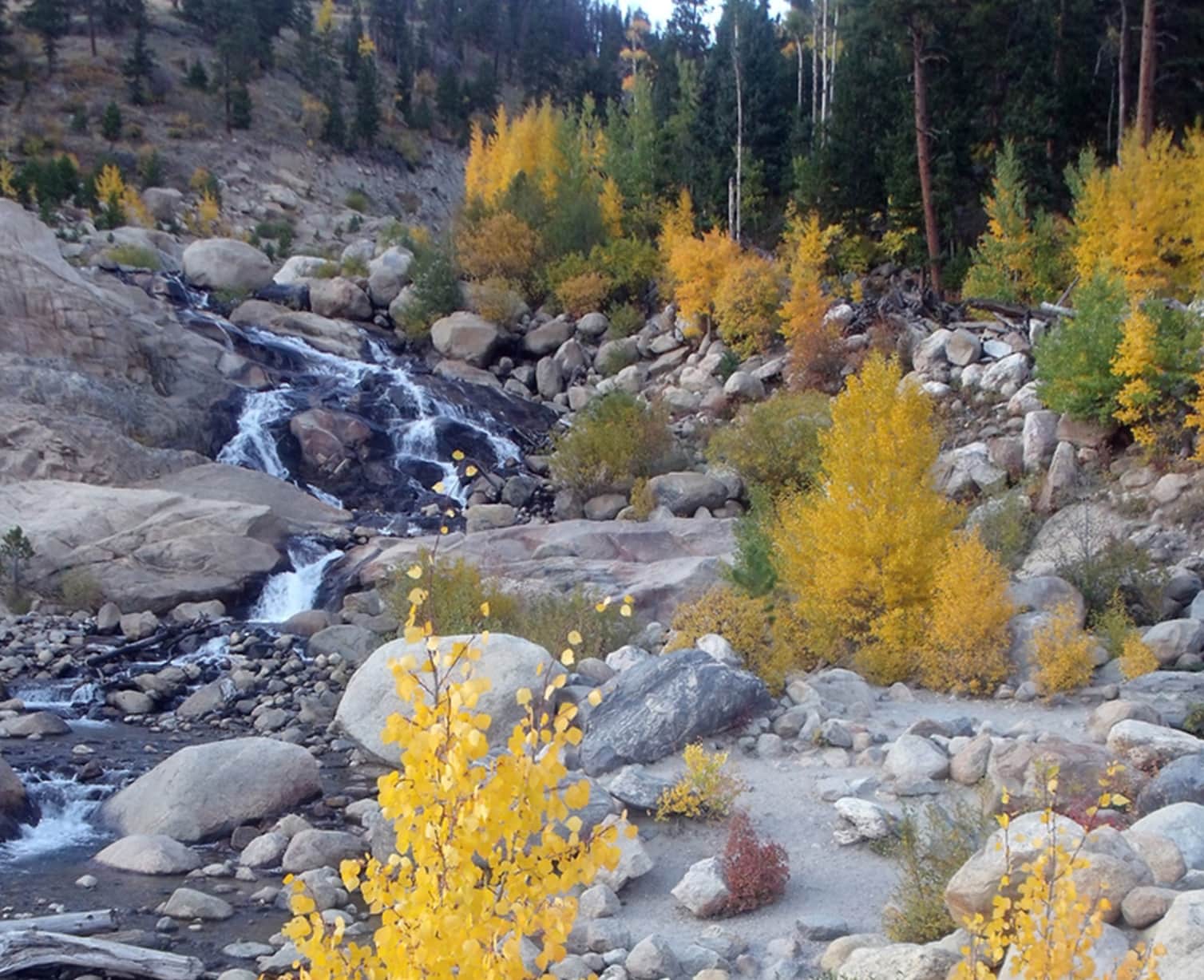 Mountain stream with fall foliage