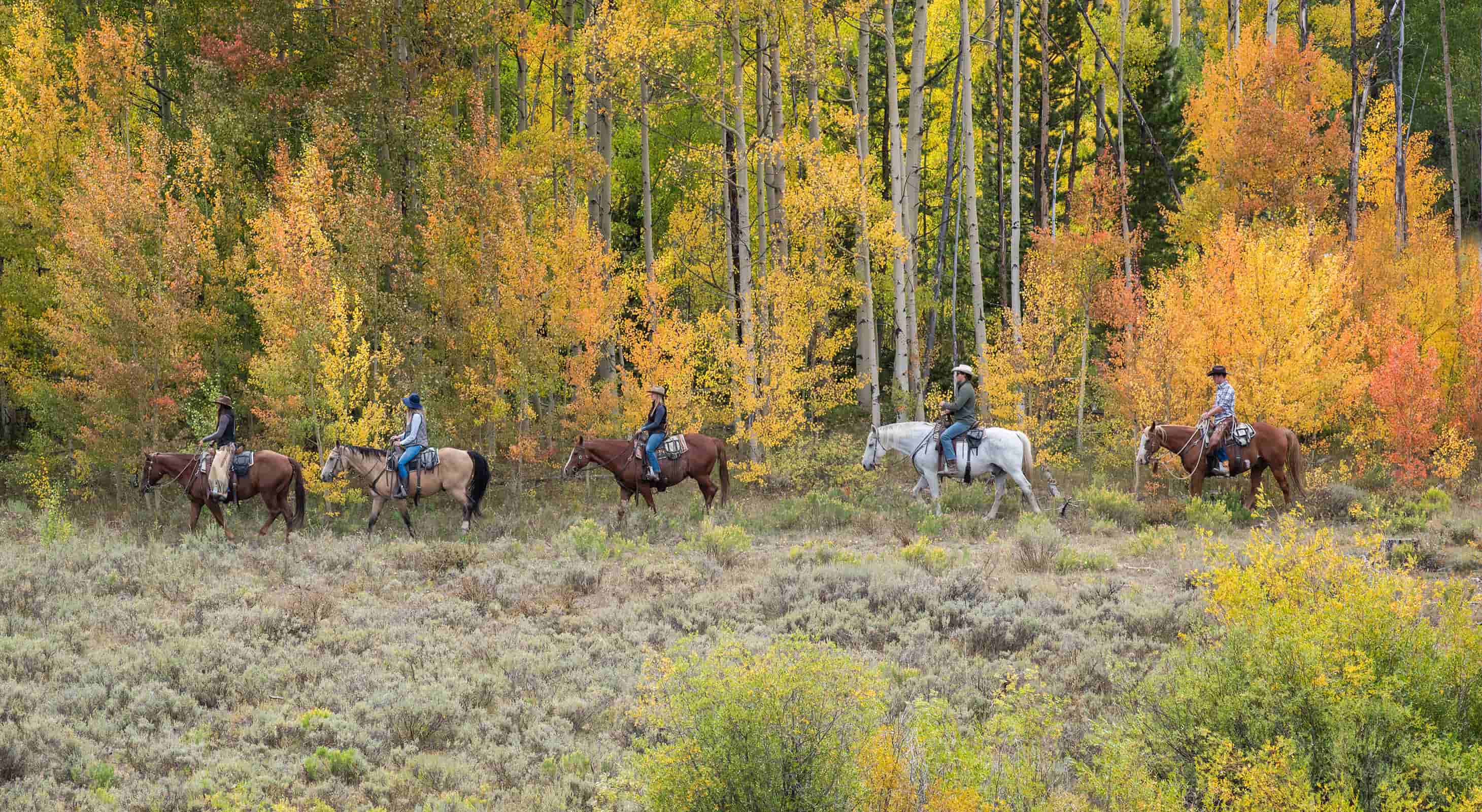 A group riding horses in the Colorado mountains